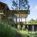 Bosque House / A20 Arquitectos - Exterior Photography, Houses, Garden
