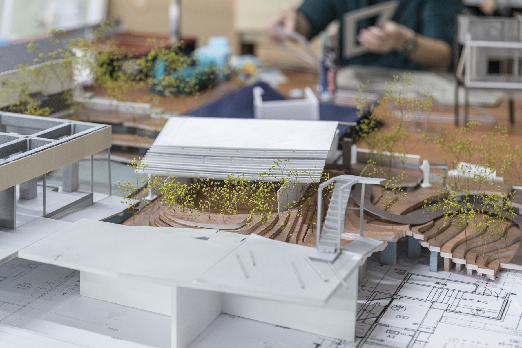 Gallery Of Open More Doors Schemata Architects 4