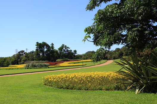 Paisagismo Clube Náutico Araraquara / Licuri Paisagismo Paisagismo Clube Náutico Araraquara / Licuri Paisagismo - Jardim