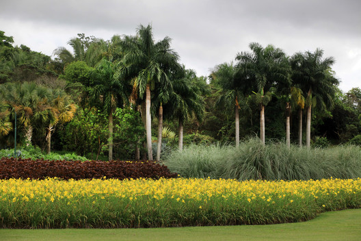 Paisagismo Clube Náutico Araraquara / Licuri Paisagismo Paisagismo Clube Náutico Araraquara / Licuri Paisagismo - Jardim