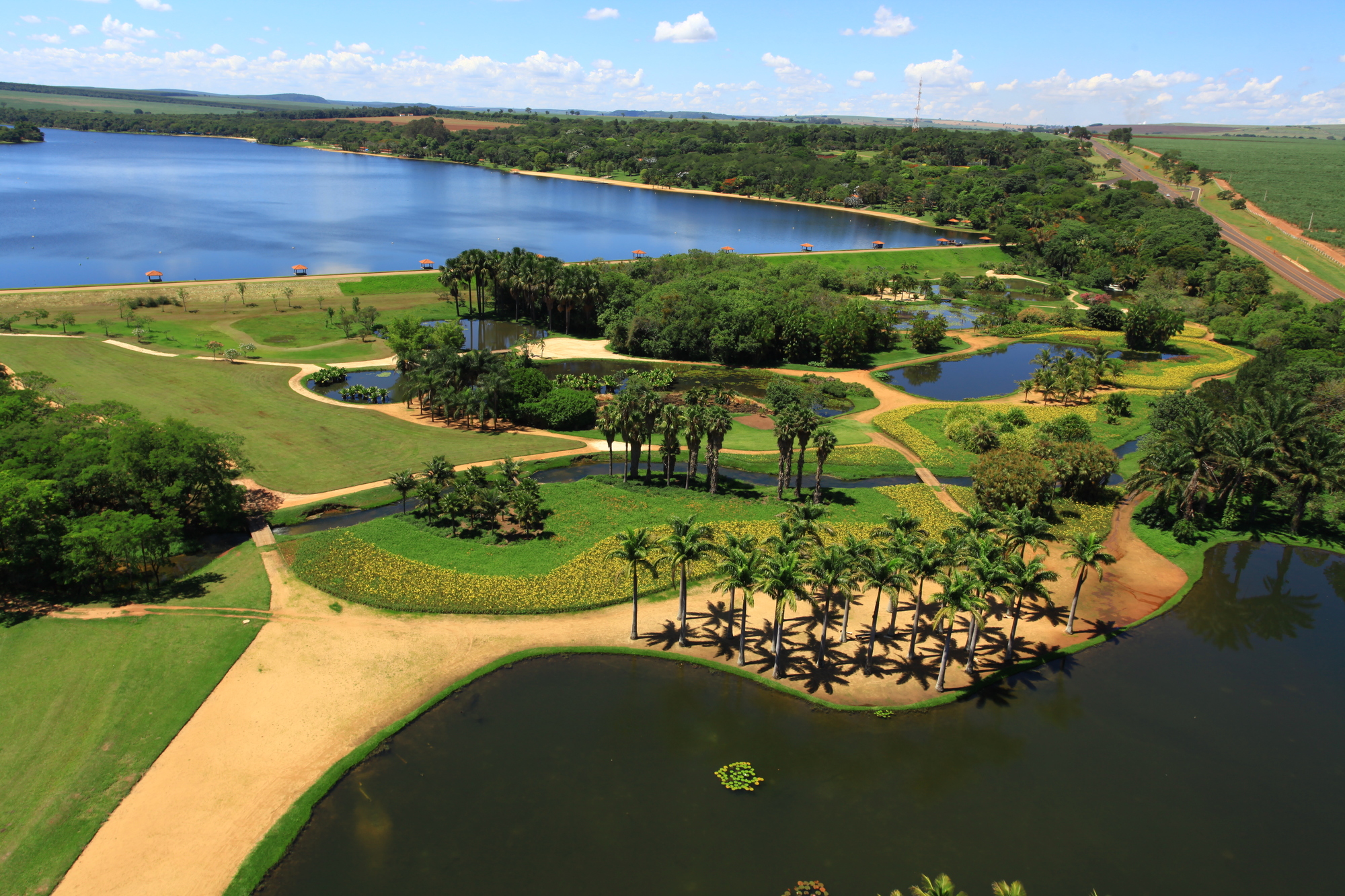 Galeria de Paisagismo Clube Náutico Araraquara / Licuri Paisagismo - 9