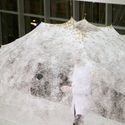 Biourbanismo: Ciudades del futuro inspiradas en la naturaleza - 2 的图像 4