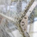 Biourbanismo: Ciudades del futuro inspiradas en la naturaleza - 3 的图像 4