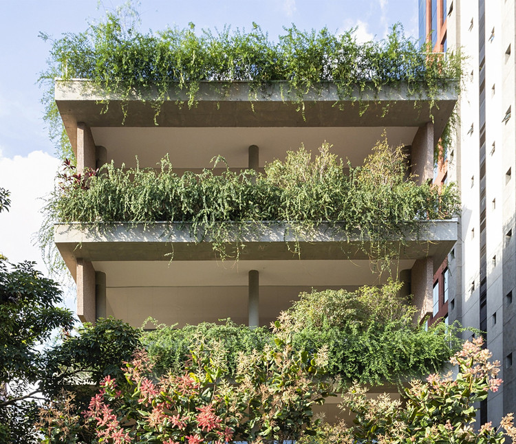 Varandas com vegetação: detalhes e cortes de jardins em altura - Imagem 20 de 22