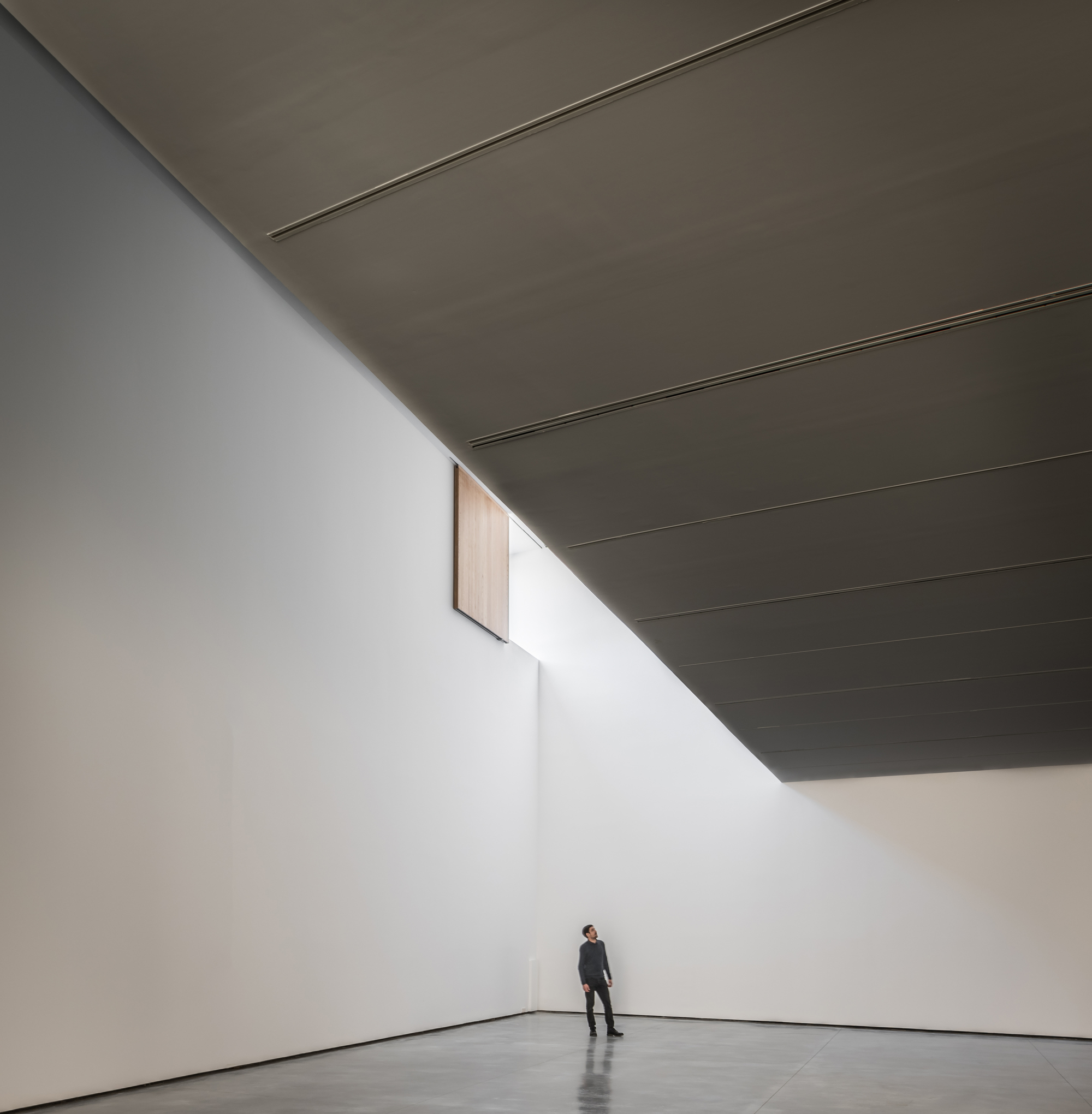 Galer a De Museo De Arte Contempor neo Helga De Alvear Emilio Tu n 