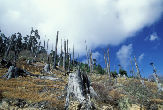 76 Immediate Actions to Combat Climate Change - Image 4 of 8