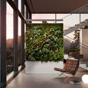 North America’s Tallest Living Green Wall Coming to Texas - Image 2 of 4