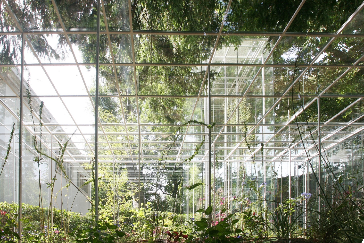 Gallery of In Praise of Tokyo: in Conversation With Junya
