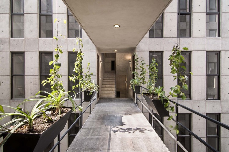 Popocatepetl 143 / HGR Arquitectos. Image © Diana Arnau