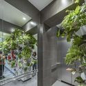 PP Garden / People’s Architecture Office - Interior Photography