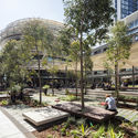 Darling Square / ASPECT Studios - Exterior Photography, Landscape