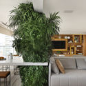 Núcleo Apartment / MAB3 Arquitetura - Interior Photography, Apartment Interiors