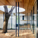Nature Within: 17 Projects With Indoor Trees - Image 3 of 19