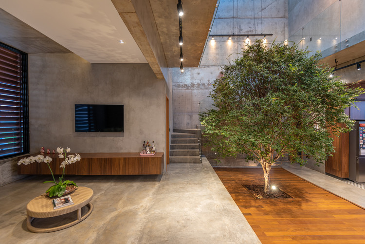 Nature Within: 17 Projects With Indoor Trees - Image 15 of 19