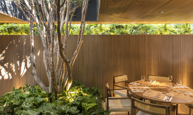 Nature Within: 17 Projects With Indoor Trees - Image 17 of 19
