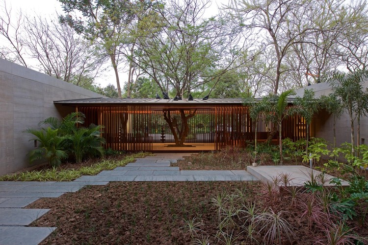 Nature Within: 17 Projects With Indoor Trees - Image 13 of 19