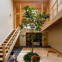 Nature Within: 17 Projects With Indoor Trees - Image 5 of 19