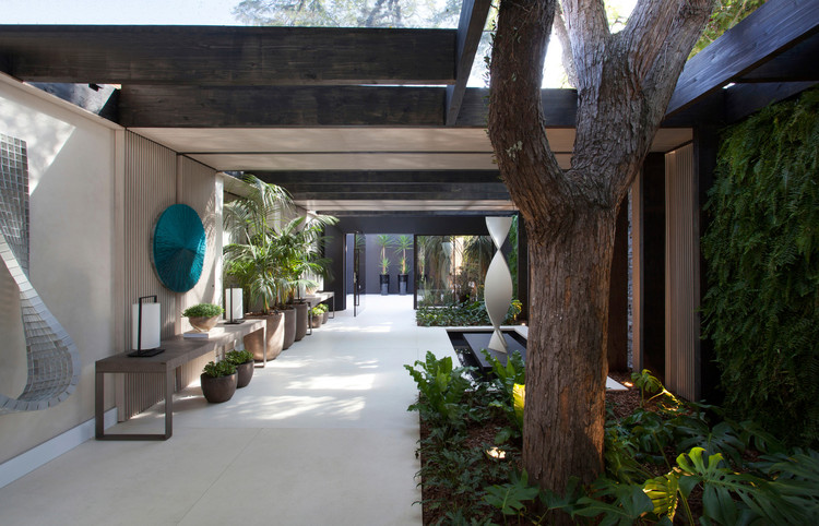 Nature Within: 17 Projects With Indoor Trees - Image 10 of 19