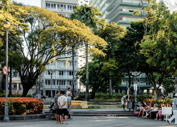 50 Atlantic Forest Species That Can Be Planted on Sidewalks - Image 1 of 2