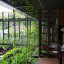 9. View of the study and the planter bridge. - Cornwall Gardens House : Một thi&ecirc;n đường nhiệt đới m&aacute;t mẻ cho gia đ&igrave;nh
