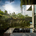 01 approach to split level house (5) - Tresno House / RAW Architecture: Biệt thự hiện đại c&acirc;y xanh v&agrave; hồ bơi