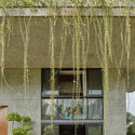 01 approach to split level house (6) - Tresno House / RAW Architecture: Biệt thự hiện đại c&acirc;y xanh v&agrave; hồ bơi