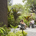 “伊甸园”新加坡公寓 / Heatherwick Studio - 建筑图, 花园