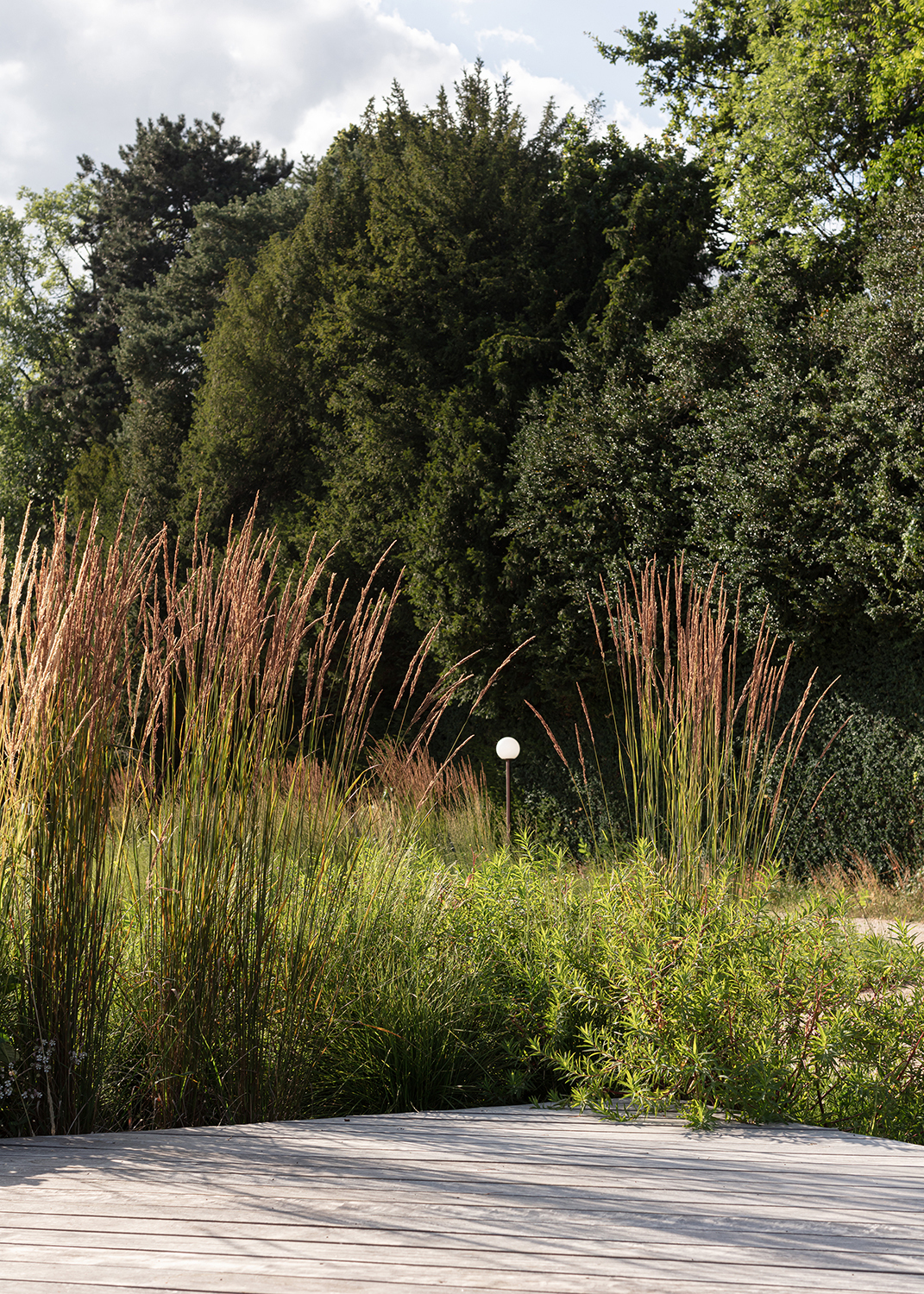 Gallery of Mr. Barrett's Garden / BUREAU (Daniel Zamarbide, Carine Pimenta, Galliane Zamarbide) 22