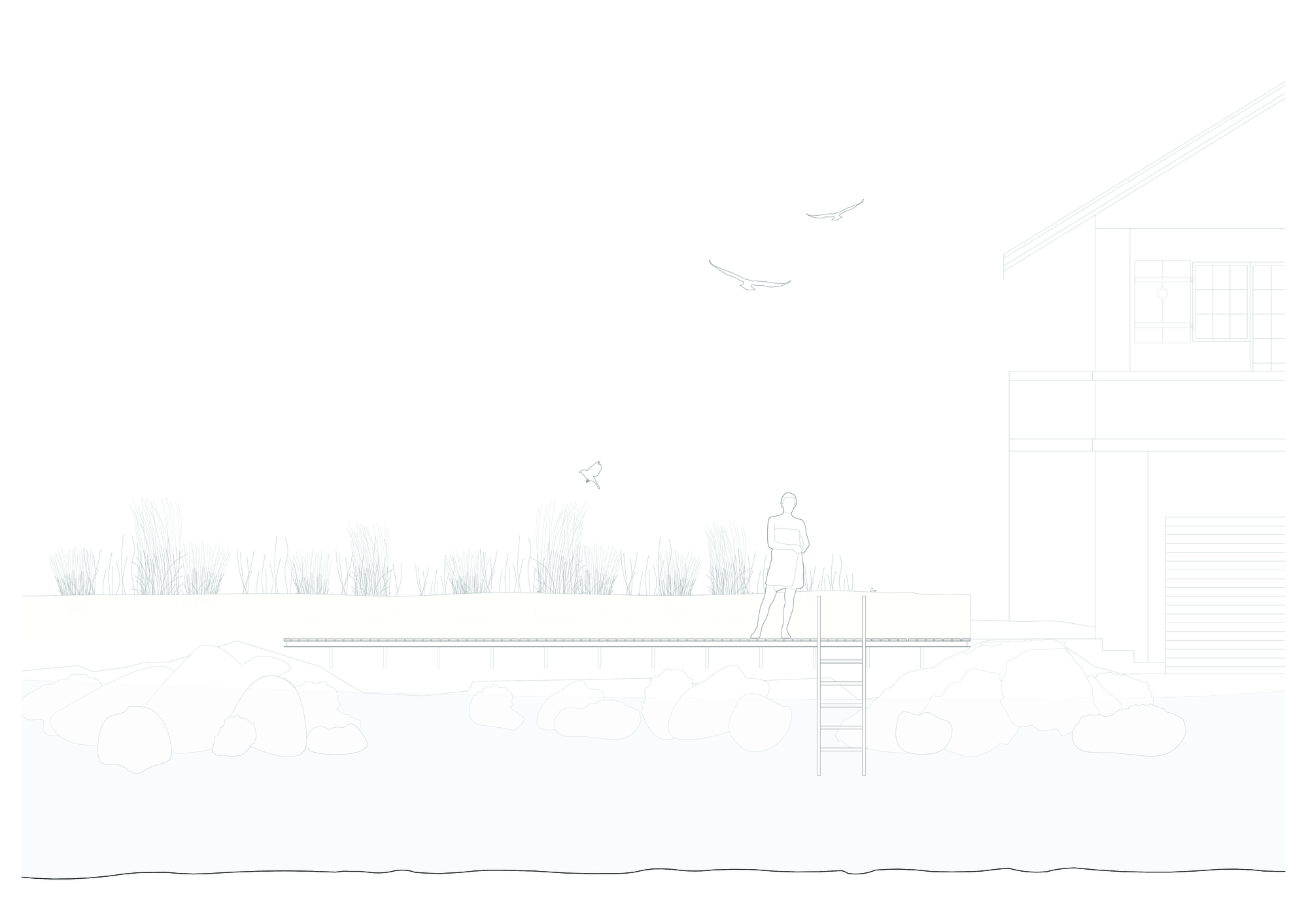 Gallery of Mr. Barrett's Garden / BUREAU (Daniel Zamarbide, Carine