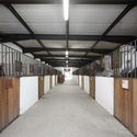 Centro Hípico de Pedras Salgadas / Luís Rebelo de Andrade - Fotografia de Interiores, Arquitetura Esportiva, Viga, Iluminação