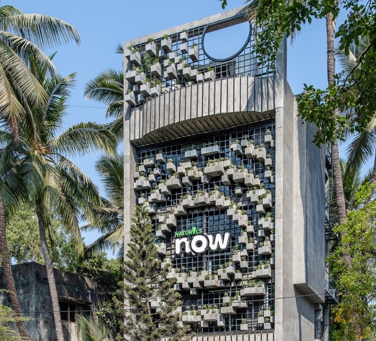 Naturals Now Shop / Drink Water Design Studio - More Images