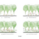 HGAA EN Drawing 1 - MY MONTESSORI GARDEN &ndash; Khu vườn của những đứa trẻ