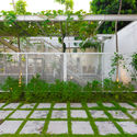 HGAA 03 IMG 6284 - MY MONTESSORI GARDEN &ndash; Khu vườn của những đứa trẻ