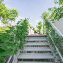 HGAA 12 IMG 6238 - MY MONTESSORI GARDEN &ndash; Khu vườn của những đứa trẻ