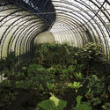 植物建筑：拉丁美洲的温室与种植空间 - 4 的图像 4