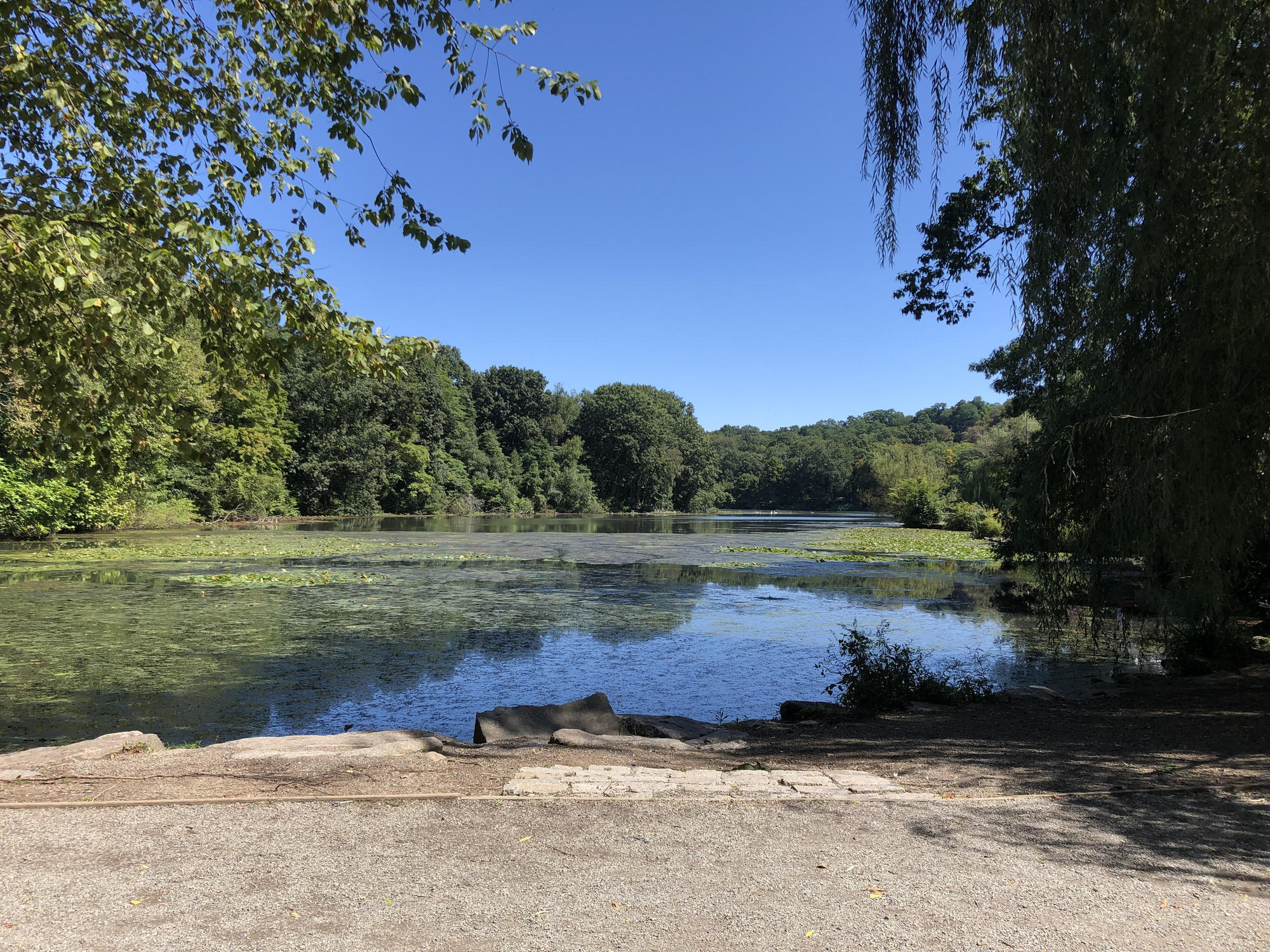 NYC Green Relief and Recovery Fund Announces Support for Parks and Open