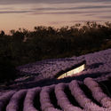 Hachem Designs Hotel Among Lavender Fields in Australia - Image 1 of 4