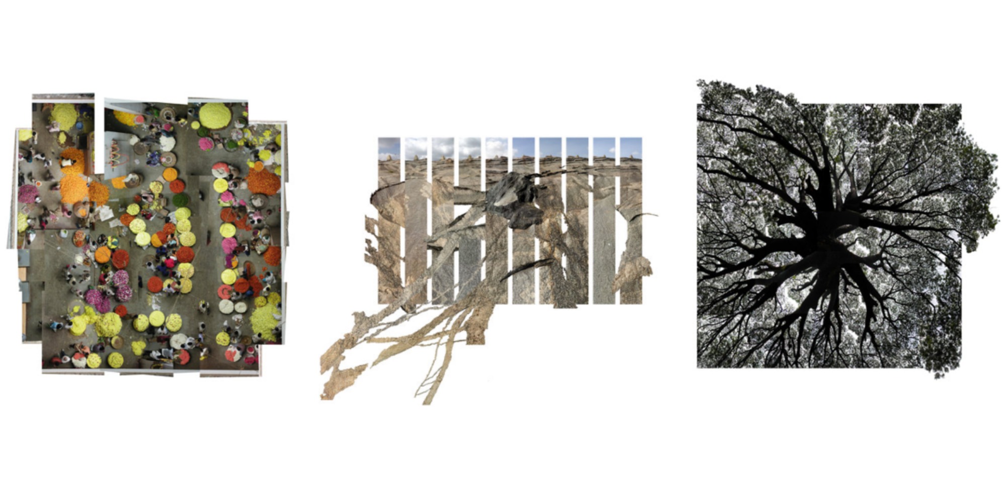 Galeria de Paisagens críticas e educadoras a obra de Mathur & Da Cunha