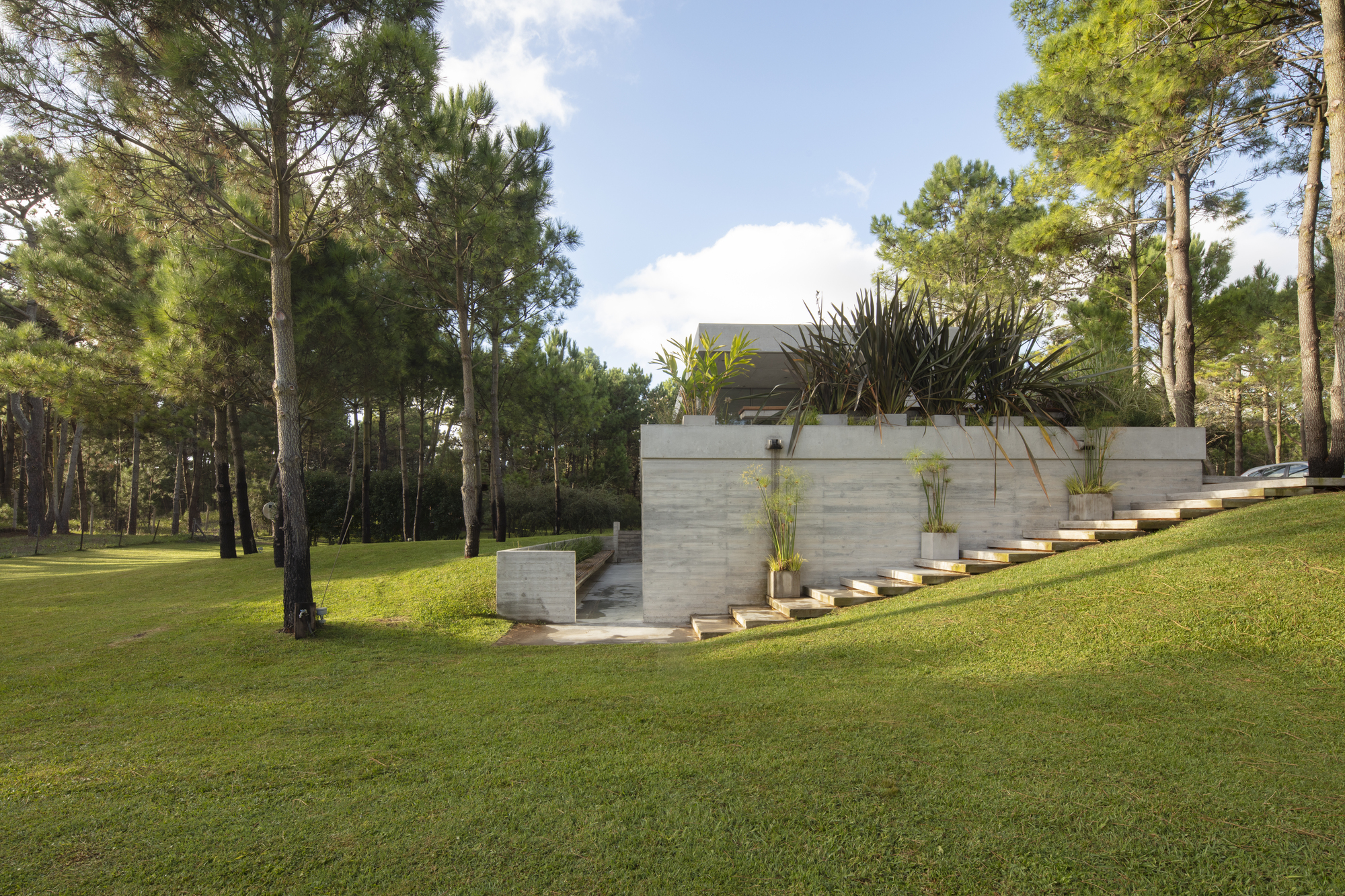 Galería de Casa con diez pinos / Estudio Frolik 16