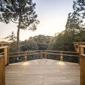 Treetop Walk / Carlos Castanheira - Cerca, Terraço, Corrimão, Floresta