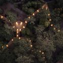 Treetop Walk / Carlos Castanheira - Imagem 5 de 74