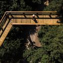 Treetop Walk / Carlos Castanheira - Floresta, Viga