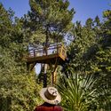 Treetop Walk / Carlos Castanheira - Floresta, Jardim