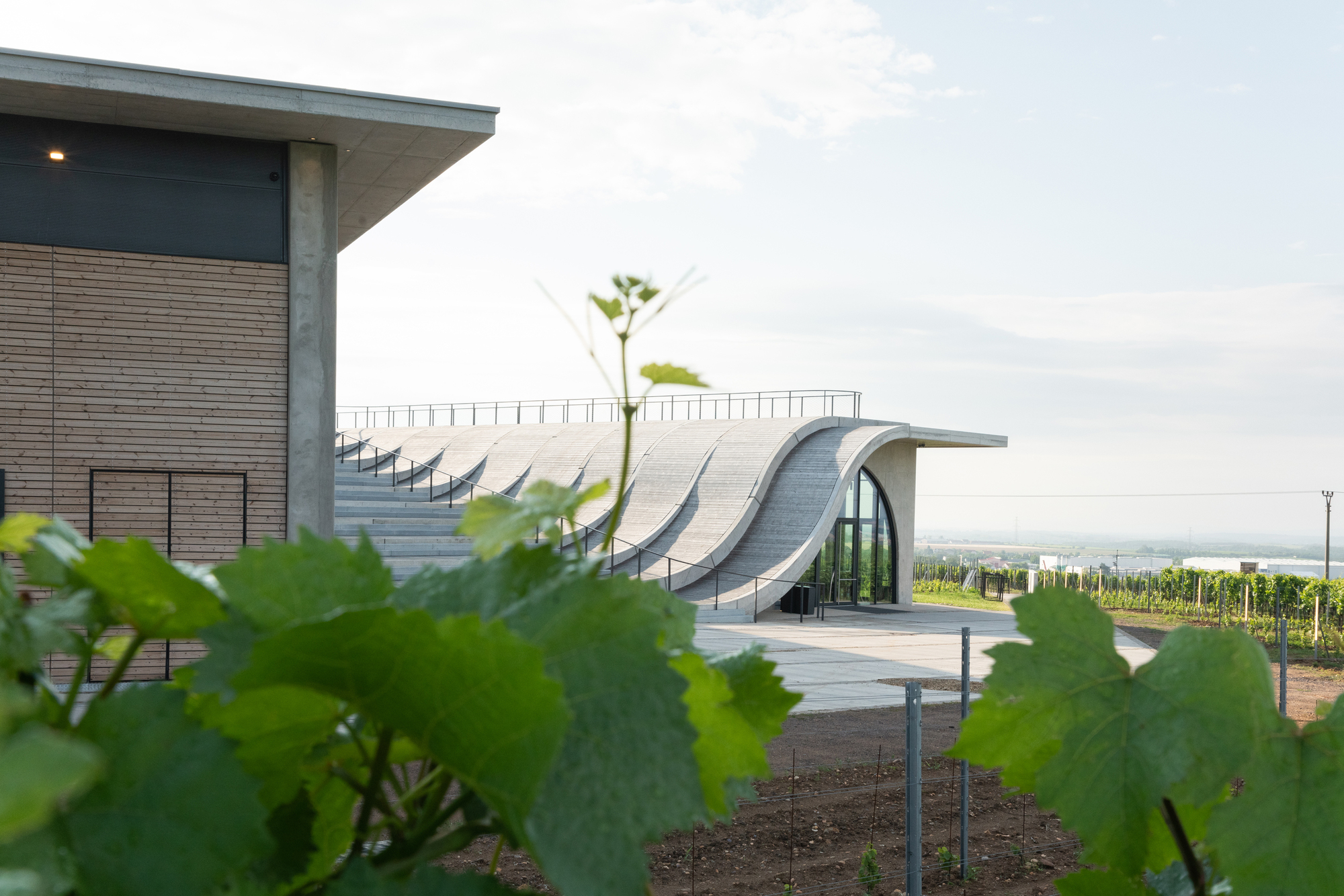 Galería de Viña Lahofer / CHYBIK + KRISTOF - 9