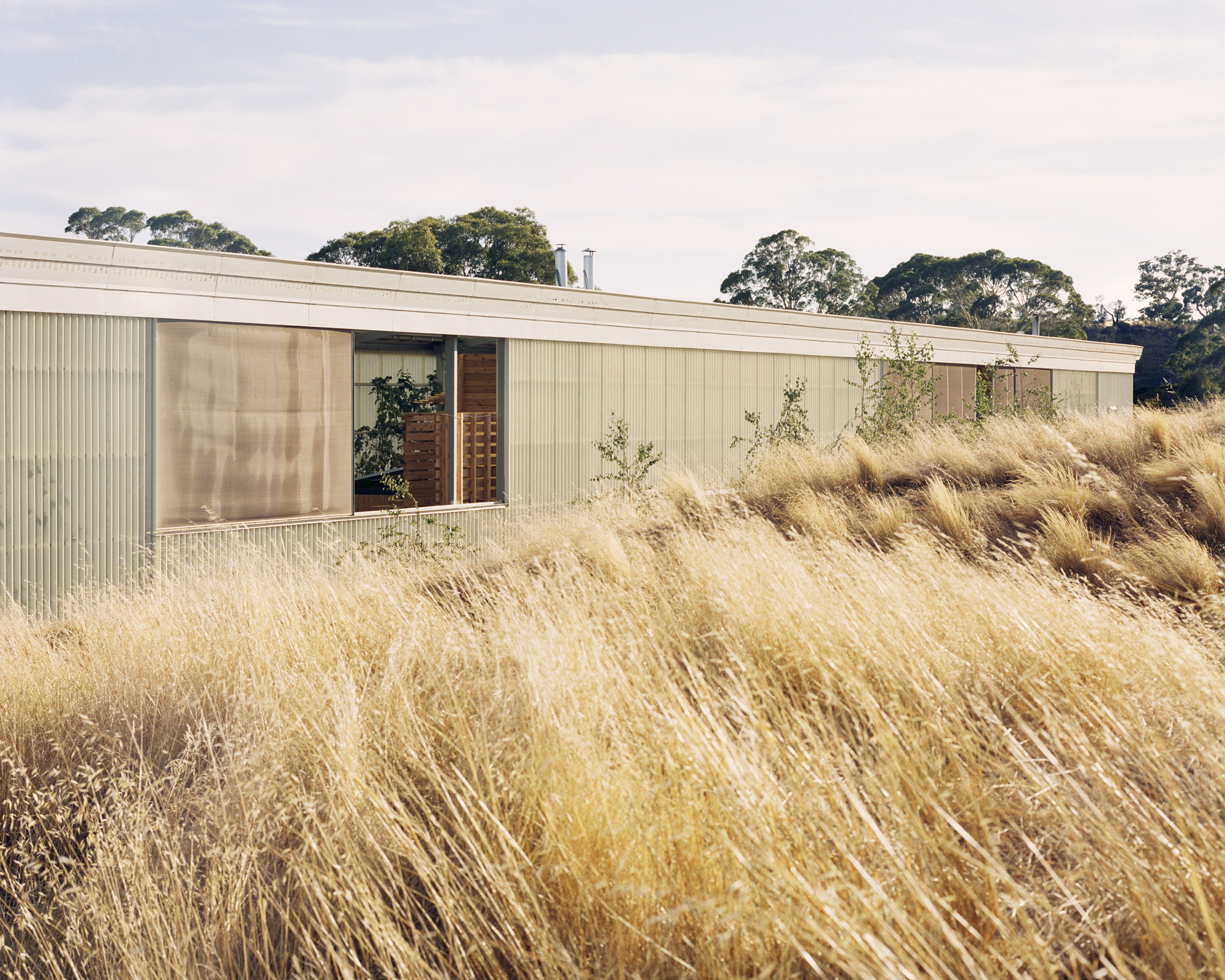Gallery of Daylesford Longhouse / Partners Hill 4