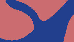 Live de lançamento do livro "Brasil Arquitetura: Francisco Fanucci e Marcelo Ferraz, projetos 2005-2020"