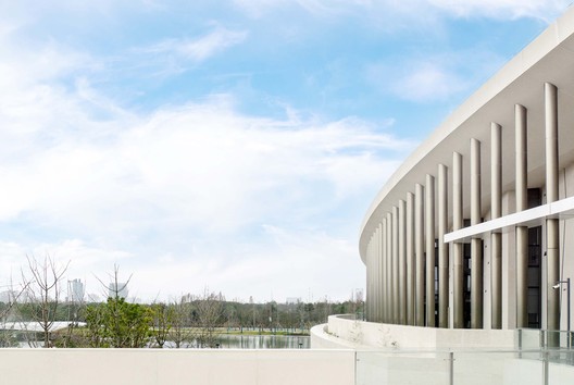 九棵树（上海）未来艺术中心 / 法国何斐徳/何中 - 建筑图, 表皮