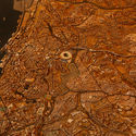 Heritage listing of the Salvador scale model: the "reduced model" by Assis Reis - Imagen 5 de 4