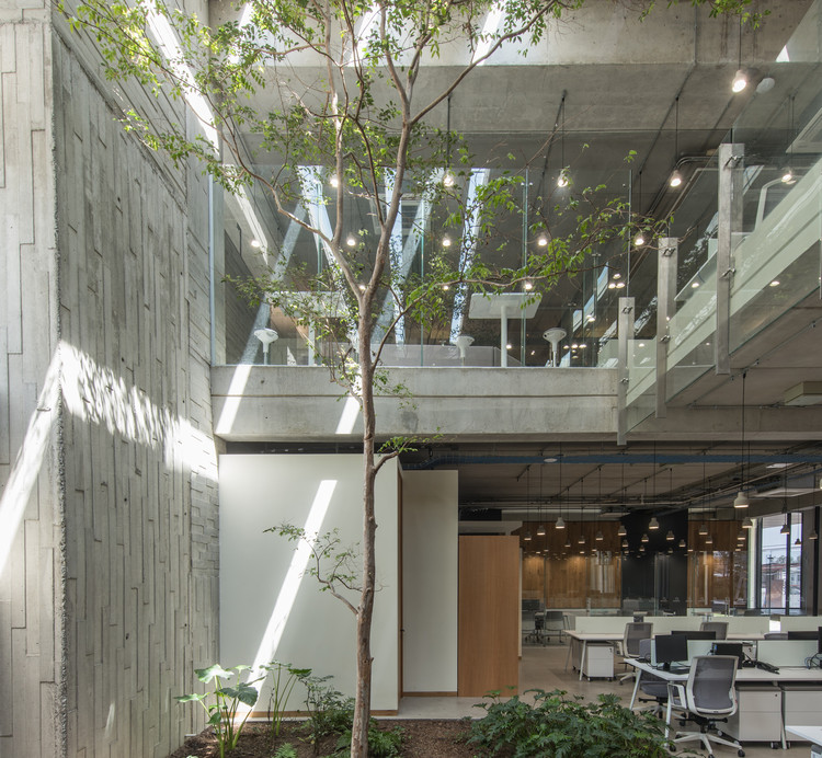 Edifício Corporativo Anteus Constructora / Ricardo Yslas Gámez Arquitectos - Mais Imagens