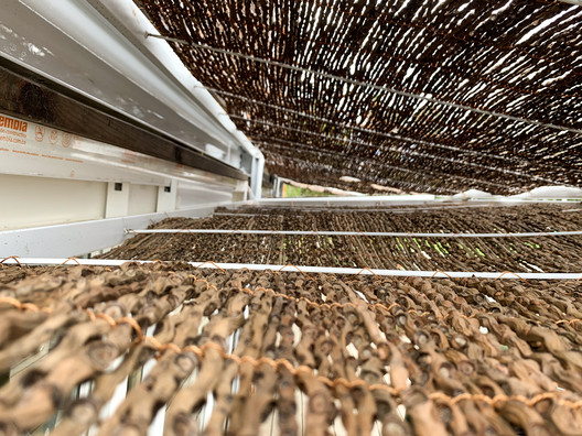 Green Machine: Adaptable Modular Social Housing Prototype - Image 27 of 63
